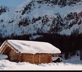 Baita In Trentino